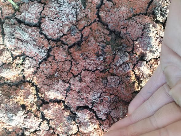 السلام عليكم ورحمة الله وبركاته ممكن تشخيص المرض والعلاج